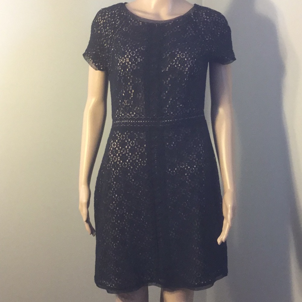 Max & Cleo BLACK CAP-SLV LINED LACY COCKTAIL DRESS